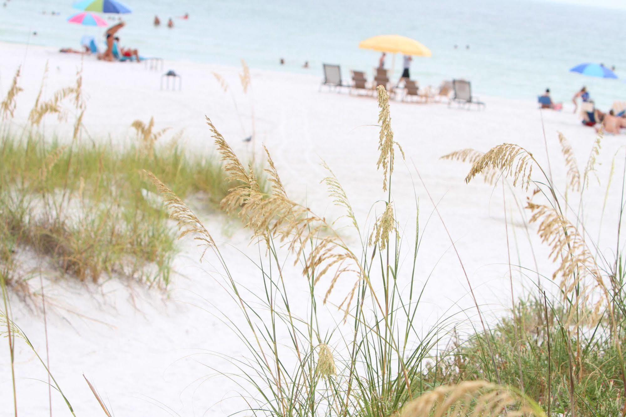 Beach Club At Siesta Key By Rva Экстерьер фото